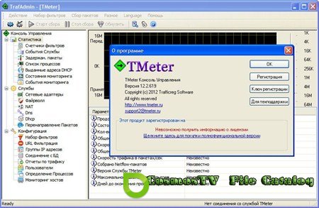 TMeter 12.2.619 (2012) Eng+Rus