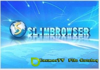 SlimBrowser 6.01.080 (2012/ML/RUS)