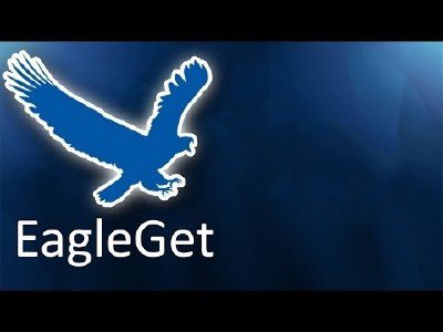 EagleGet 2.0.2.2 RuS